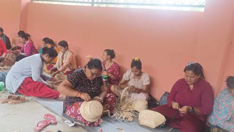 म्याग्देका महिलालाई मकैकाे भुत्लाबाट टाेपि र ब्याग बनाउने तालिम: