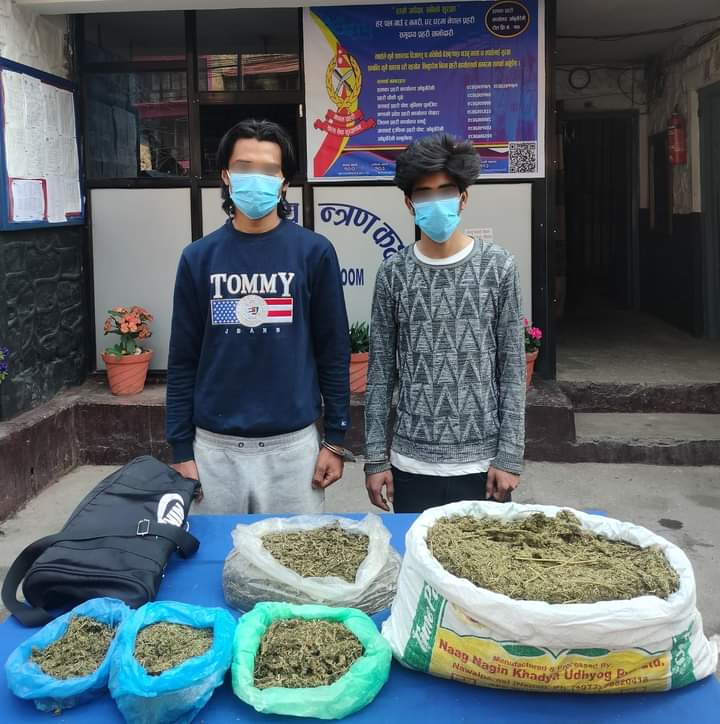अवैध लागु औषध गाँजा सहित आँबुखैरेनी बाट २ जना पक्राउ: