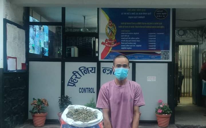 अवैध लागु औषध गाँजा सहित आँबुखैरेनी बाट १ जना पक्राउ‌‌‍‍‍:
