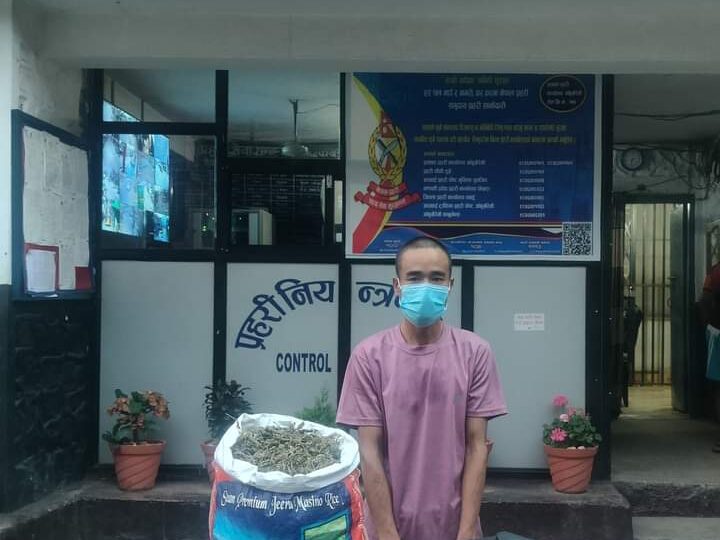 अवैध लागु औषध गाँजा सहित आँबुखैरेनी बाट १ जना पक्राउ‌‌‍‍‍: