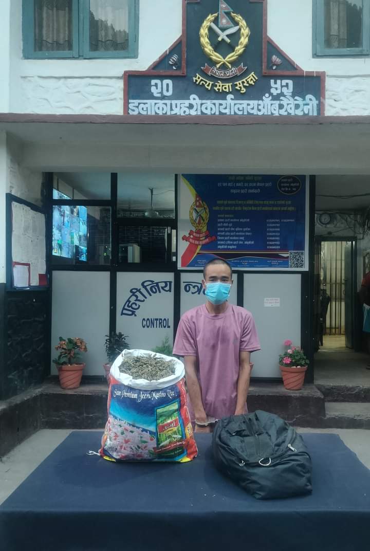 अवैध लागु औषध गाँजा सहित आँबुखैरेनी बाट १ जना पक्राउ‌‌‍‍‍: