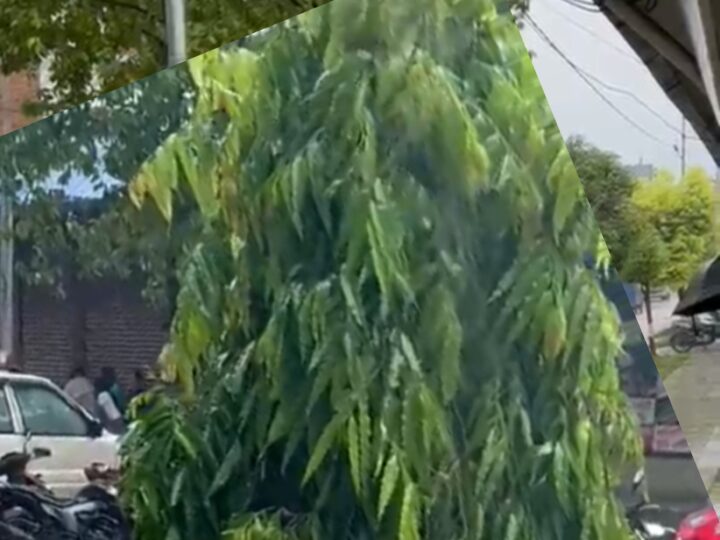 जिल्ला समन्वयको व्यवसायीक भवनकाे पानी सिधै सडकमा !