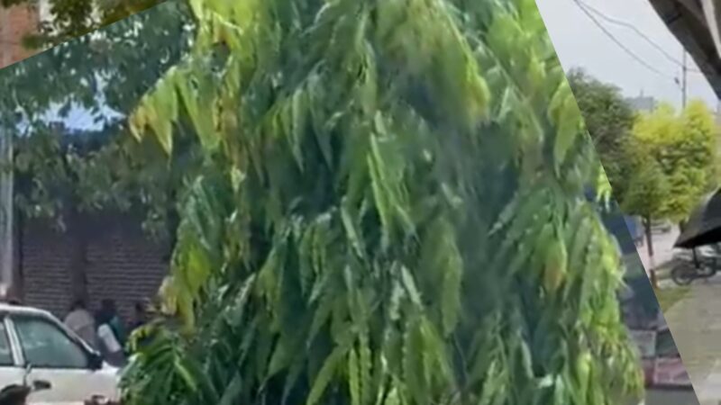 जिल्ला समन्वयको व्यवसायीक भवनकाे पानी सिधै सडकमा !