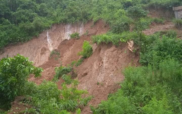 बन्दीपुरमा पहिरोले पुरिएर ३ वटा  बाख्राकाे मृत्यु