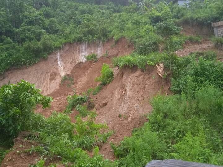 बन्दीपुरमा पहिरोले पुरिएर ३ वटा  बाख्राकाे मृत्यु
