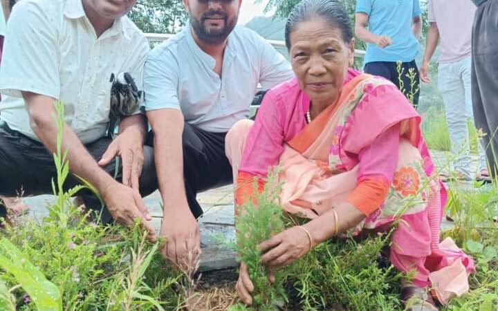 विपी स्मृति दिवसमा म्याग्दे लगायतका स्थानीय तहमा वृक्षारोपण
