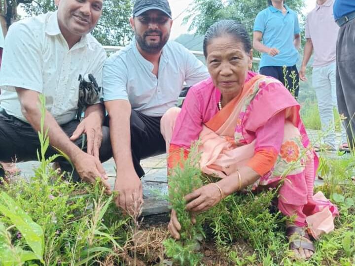 विपी स्मृति दिवसमा म्याग्दे लगायतका स्थानीय तहमा वृक्षारोपण