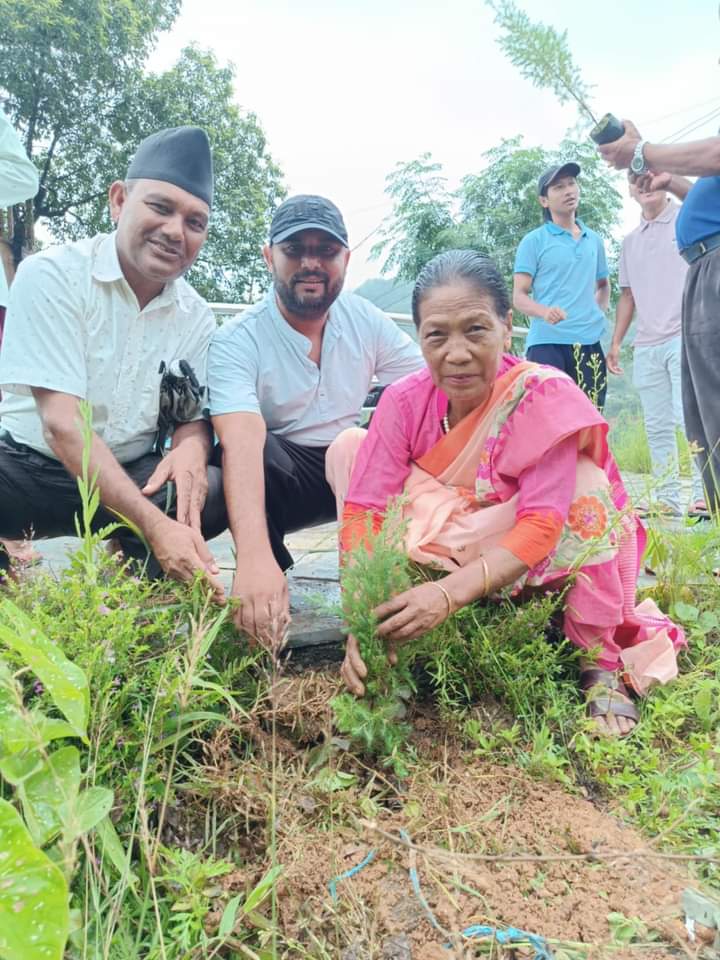 विपी स्मृति दिवसमा म्याग्दे लगायतका स्थानीय तहमा वृक्षारोपण