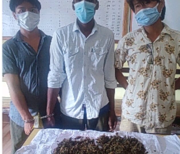लागु औषध गाँजा सहित म्याग्दे र व्यासका ३ युवा पक्राउ