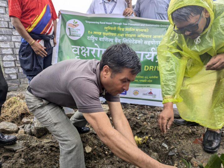 १० लाख बिरुवा लगाउने अभियानअन्तर्गत भानुमा वृक्षारोपण 