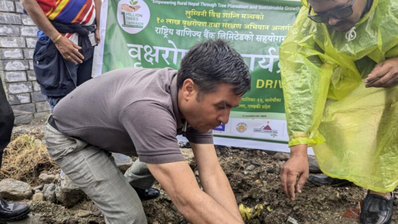 १० लाख बिरुवा लगाउने अभियानअन्तर्गत भानुमा वृक्षारोपण 