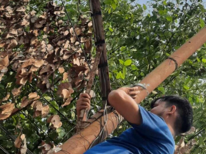 बुधबारदेखि दमाैली बजार , सिसि क्यामराकाे निगरानीमा हुने