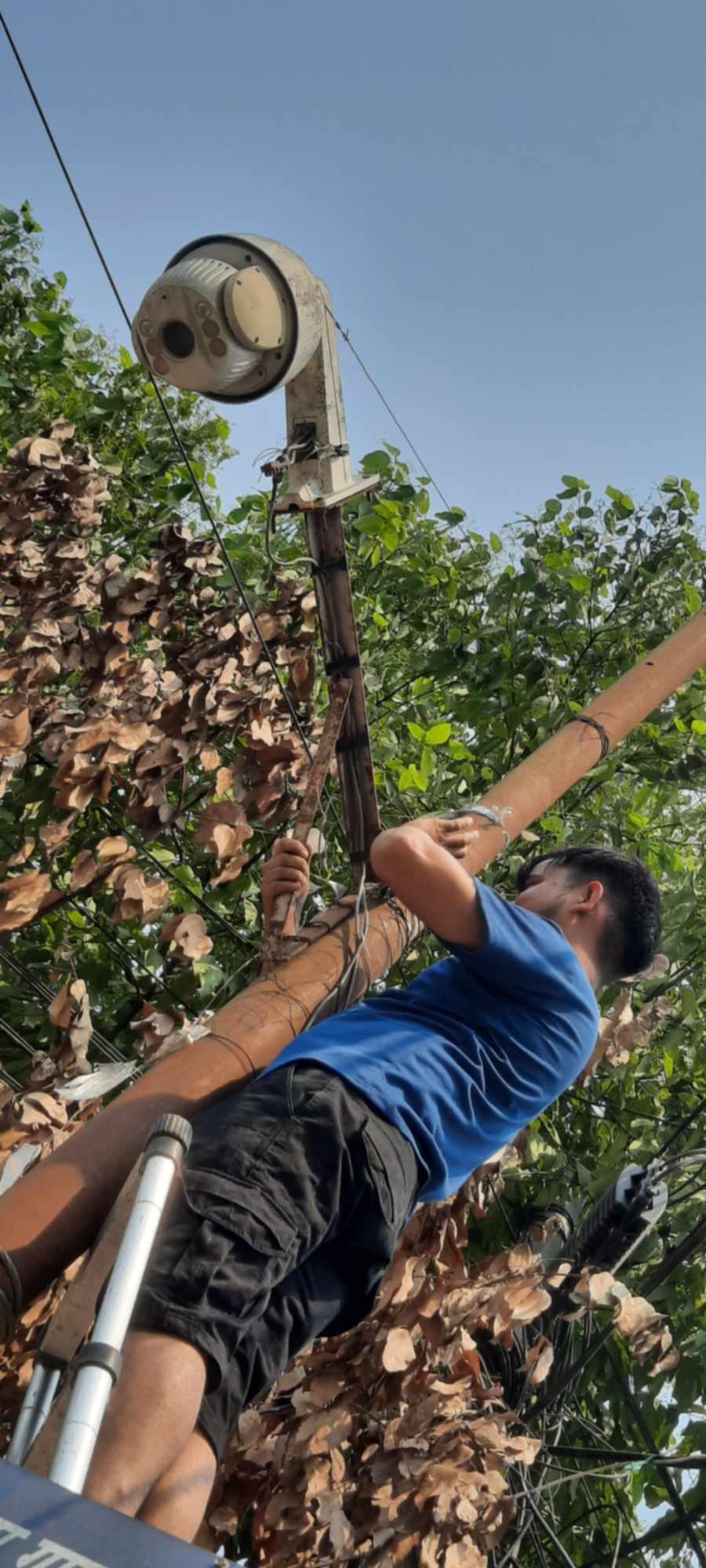बुधबारदेखि दमाैली बजार , सिसि क्यामराकाे निगरानीमा हुने