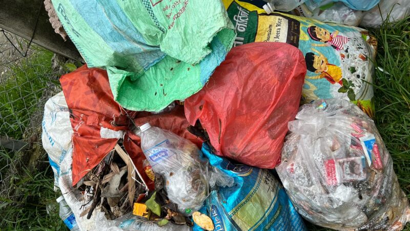 ८ दिनदेखि नउठेको फाेहाेर नगरपालिकाले आफ्नैं प्राङ्गण भित्र राख्ने