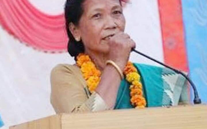 जिल्ला बालअधिकार समिति तनहुँकाे अध्यक्षमा राना मनाेनित