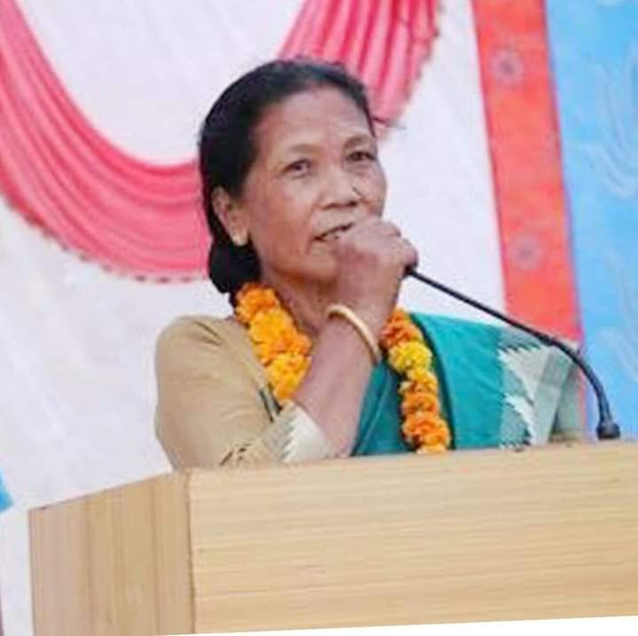 जिल्ला बालअधिकार समिति तनहुँकाे अध्यक्षमा राना मनाेनित