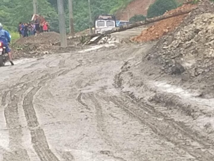 पहिरो सँगै ठुलो रूख ढल्दा पृथ्वीराजमार्गकाे खैरेनीटार थर्पु सडक खण्ड अवरुद्ध
