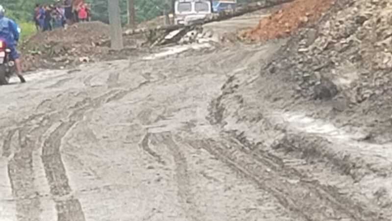 पहिरो सँगै ठुलो रूख ढल्दा पृथ्वीराजमार्गकाे खैरेनीटार थर्पु सडक खण्ड अवरुद्ध