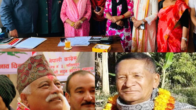 हिन्दू राष्ट्र स्थापनाको एजेण्डालाई केन्द्रीय समितिबैठकमा लैजान कांग्रेसका हिन्दूवादी नेताहरु एकमत