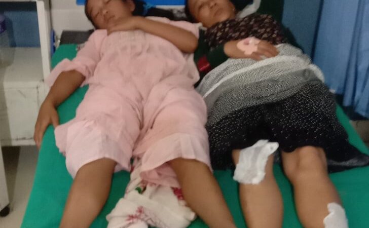 दमाैली आउँदै गरेको जिप ब्रेकफेल भइ दुर्घटना हुँदा ७ जना घाइते ( नामावली सहित )