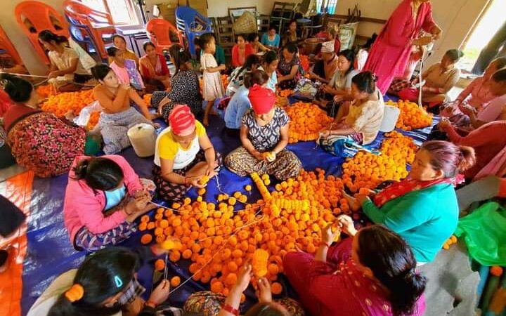 आँबुखैरेनीमा आज देखि  सयपत्री फुल माला बिक्री  तथा प्रदर्शनीमा राखिने