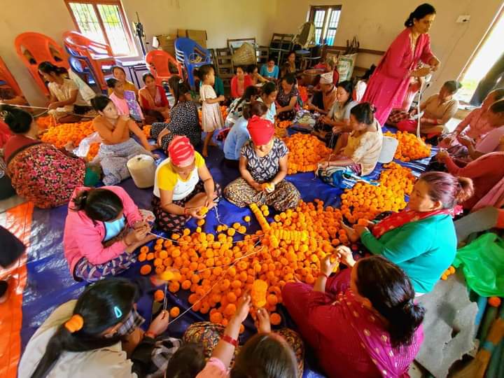 आँबुखैरेनीमा आज देखि  सयपत्री फुल माला बिक्री  तथा प्रदर्शनीमा राखिने