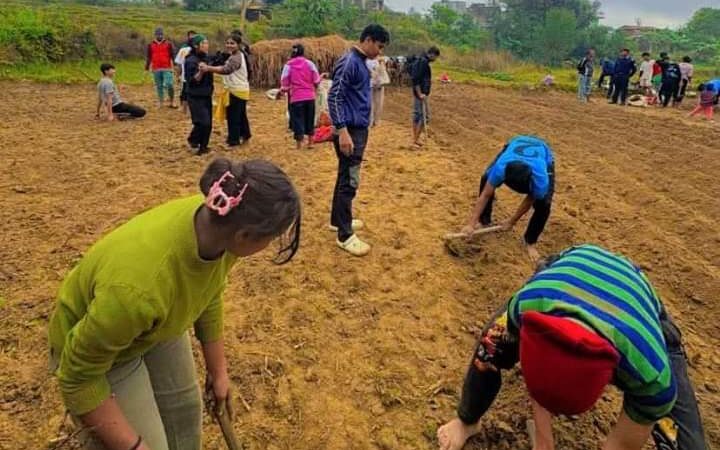 कर्मदा मावि भानुका विद्यार्थीहरू आलु खेतीतर्फ आकर्षित !