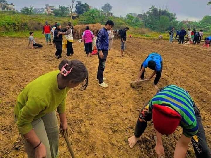 कर्मदा मावि भानुका विद्यार्थीहरू आलु खेतीतर्फ आकर्षित !