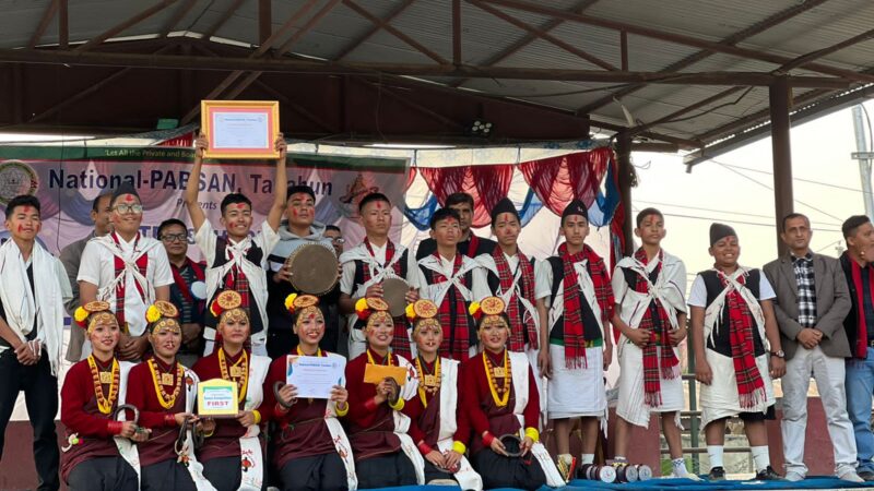 नेशनल प्याब्सन तनहुँकाे बिद्यालय स्तरीय नृत्य प्रतियोगितामा दमाैली पब्लिक स्कुल प्रथम