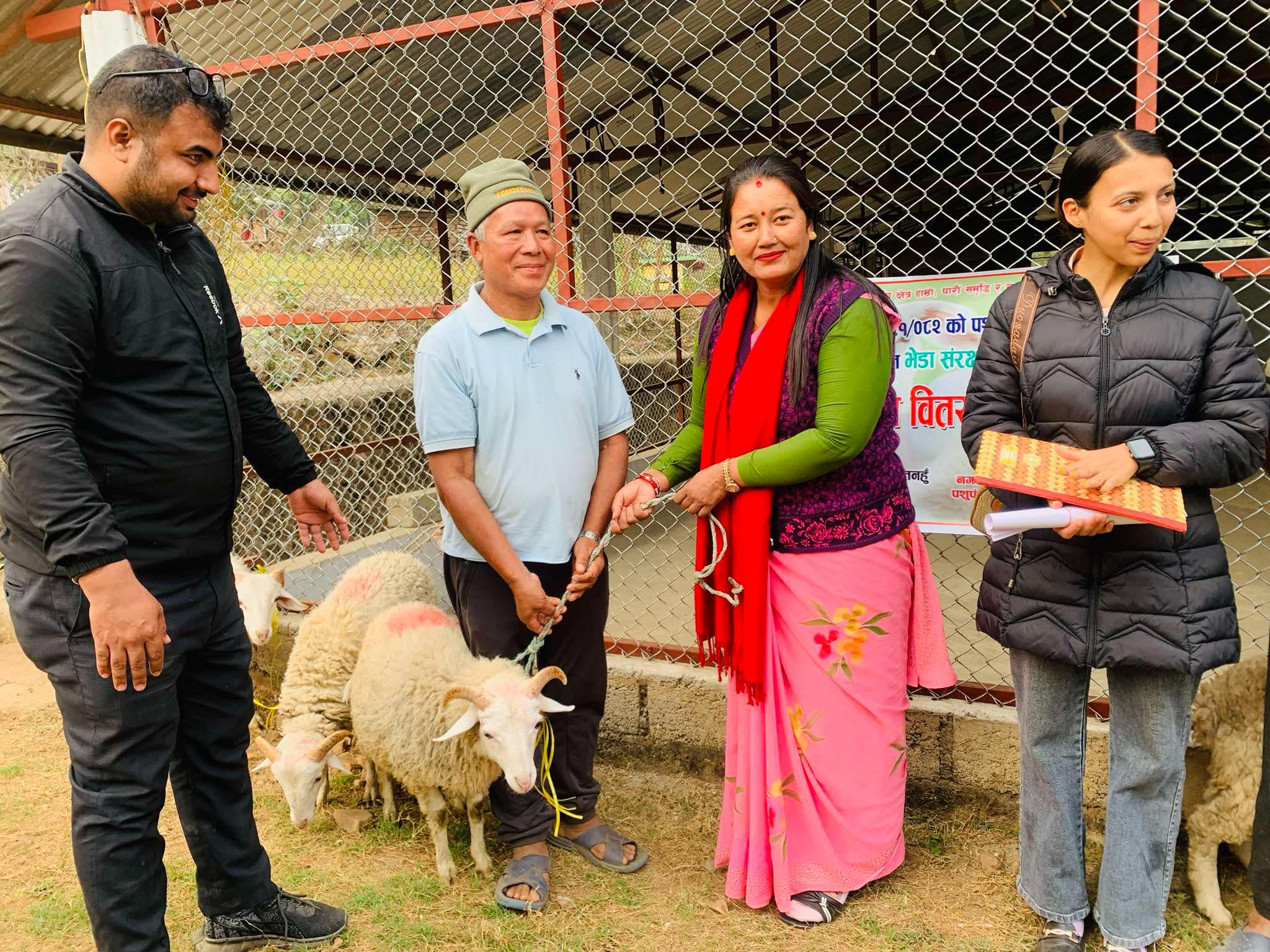 भानुमा भेडाको ५ वटा थुमा निशुल्क बितरण