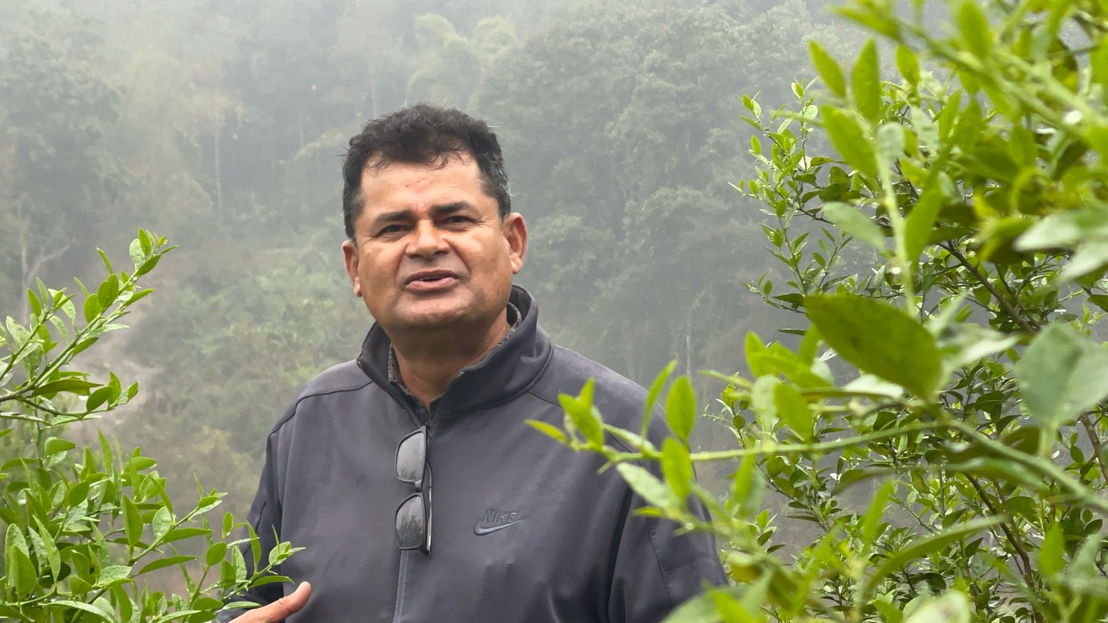 शुक्लागण्डकीका मेयर पण्डितको कृषि लगाव, ब्यवसायिक कागती खेति सुरु