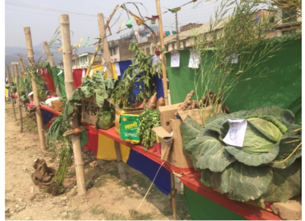 बैशाख २० गते थर्पुमा कृषि प्रदर्शनी मेला हुने