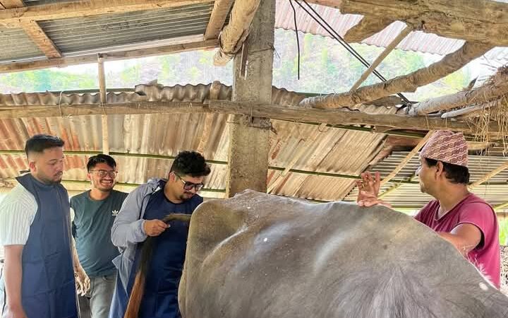 भिमाद नगरपालिकामा घर-घरमै पुगेर बाँझोपन निवारण शिविर सम्पन्न