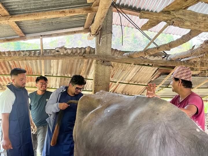 भिमाद नगरपालिकामा घर-घरमै पुगेर बाँझोपन निवारण शिविर सम्पन्न