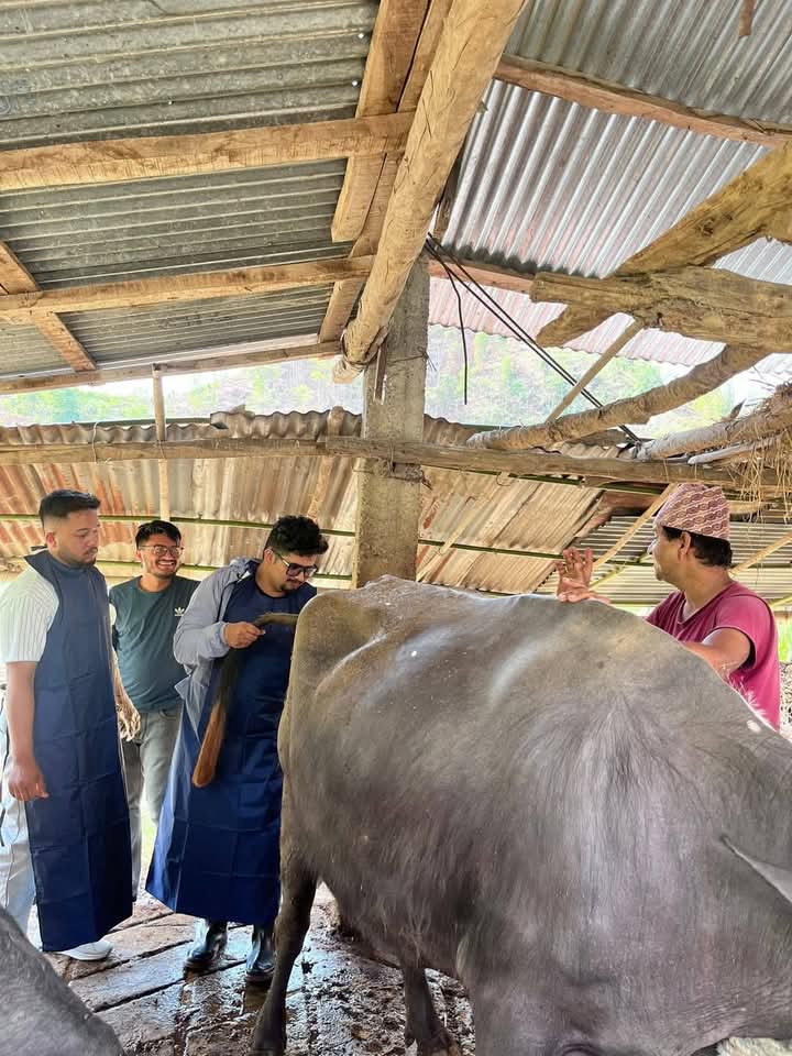 भिमाद नगरपालिकामा घर-घरमै पुगेर बाँझोपन निवारण शिविर सम्पन्न