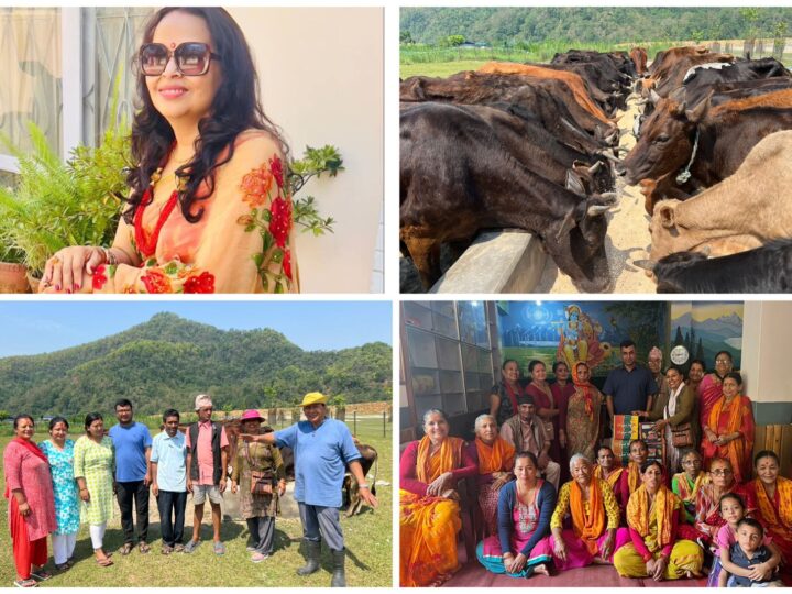 जन्मदिनमा दमाैली घर भइ अमेरिका बस्ने रमा ले गरिन् गाैसंरक्षण केन्द्र र आश्रमलाई सहयोग