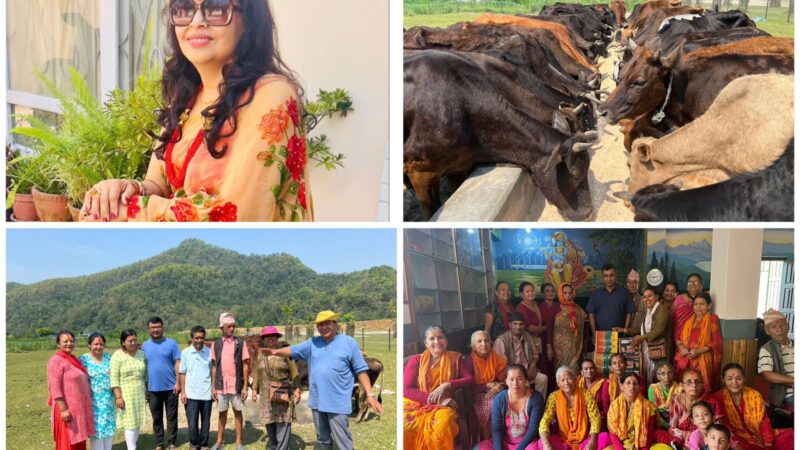 जन्मदिनमा दमाैली घर भइ अमेरिका बस्ने रमा ले गरिन् गाैसंरक्षण केन्द्र र आश्रमलाई सहयोग