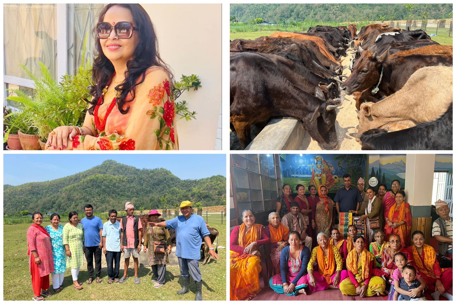 जन्मदिनमा दमाैली घर भइ अमेरिका बस्ने रमा ले गरिन् गाैसंरक्षण केन्द्र र आश्रमलाई सहयोग
