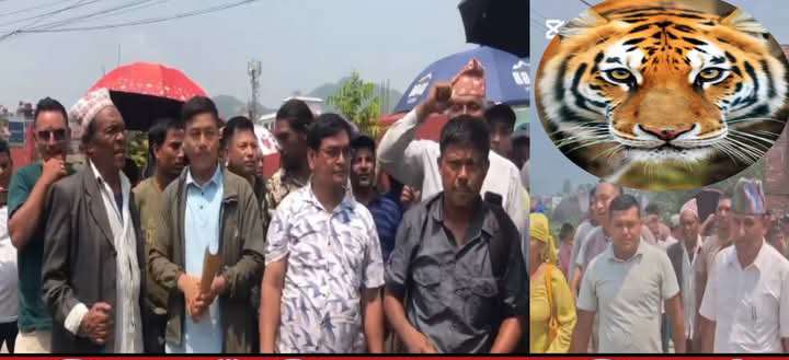 बालबालिका खाने चितुवा नियन्त्रण गर्न माग गर्दै बन्दीपुरबासीको प्रर्दशन