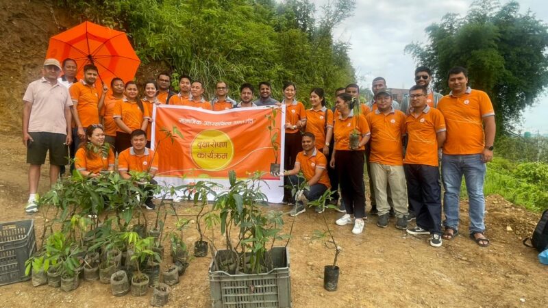 विश्व वातावरण दिवसमा लक्ष्मी बैंकले गर्याे म्याग्देमा वृक्षारोपण