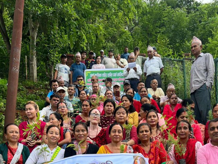 तनहुँ कालिका शहीद शान्ति पार्क क्षेत्रमा म्याग्दे दमाैली समाजको वृक्षारोपण