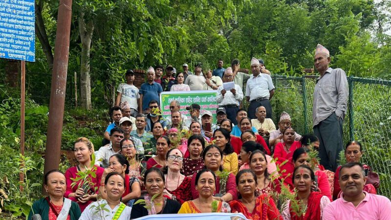 तनहुँ कालिका शहीद शान्ति पार्क क्षेत्रमा म्याग्दे दमाैली समाजको वृक्षारोपण