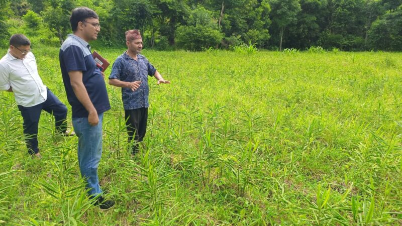 भानुमा प्रविधिमैत्री तथा व्यावसायिक खेती प्रवर्द्धनका कार्यक्रमहरू सञ्चालन गरिने