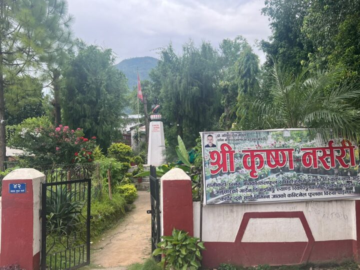 दमाैलीकाे श्रीकृष्ण नर्सरीले किरा जस्तो ठाउँलाई हिरा जस्तो बनायाे