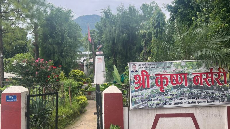दमाैलीकाे श्रीकृष्ण नर्सरीले किरा जस्तो ठाउँलाई हिरा जस्तो बनायाे