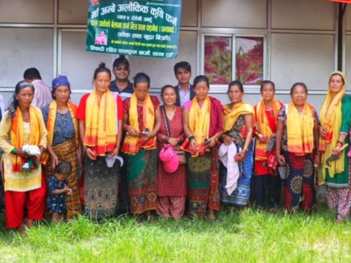 खुर्पी र कुटाे दिएर कल्पना गाैलिले गरिन् किसानकाे सम्मान