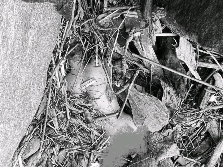 भानुकी १७ वर्षीया रमाकुमारी कुमाल मृत फेला