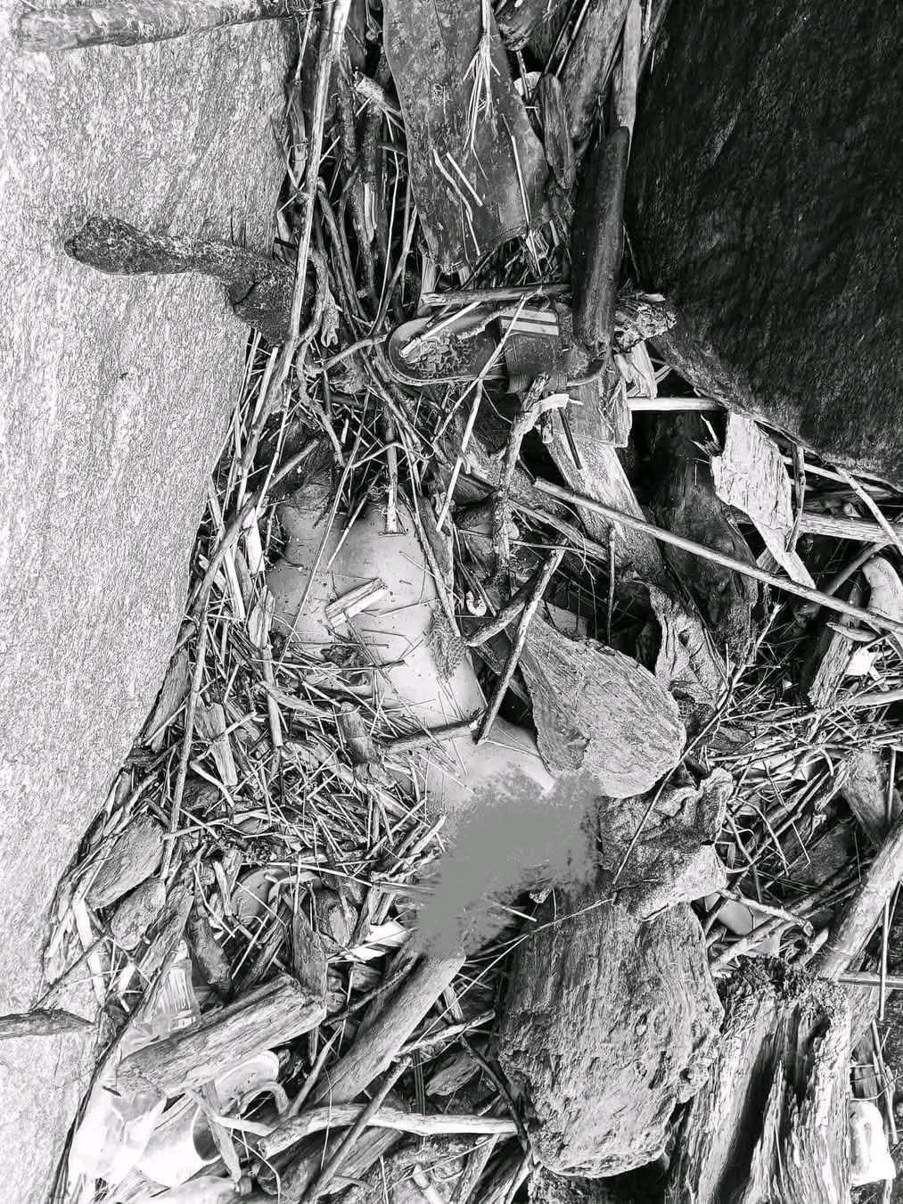 भानुकी १७ वर्षीया रमाकुमारी कुमाल मृत फेला