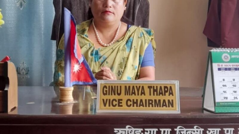 ऋषिङ्ग गाउँपालिकाकाे न्यायिक समितिमा मिलापत्रबाटै मुद्दाको समाधान !