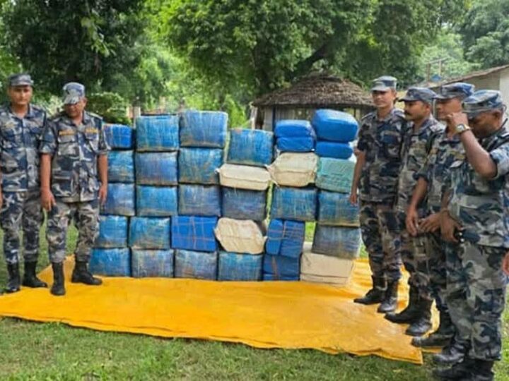 बाँसघारीमा लुकाएको ८३५ किलो गाँजा सशस्त्र प्रहरी द्वारा बरामद